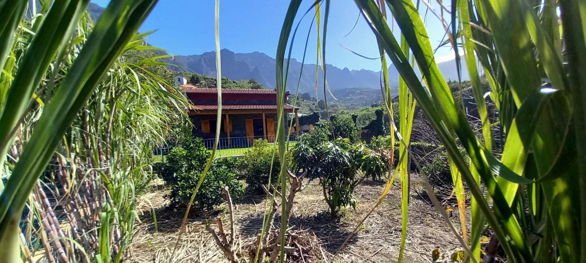 Refugio Do Limoeiro Villa เซาวิเซนเจ ภายนอก รูปภาพ
