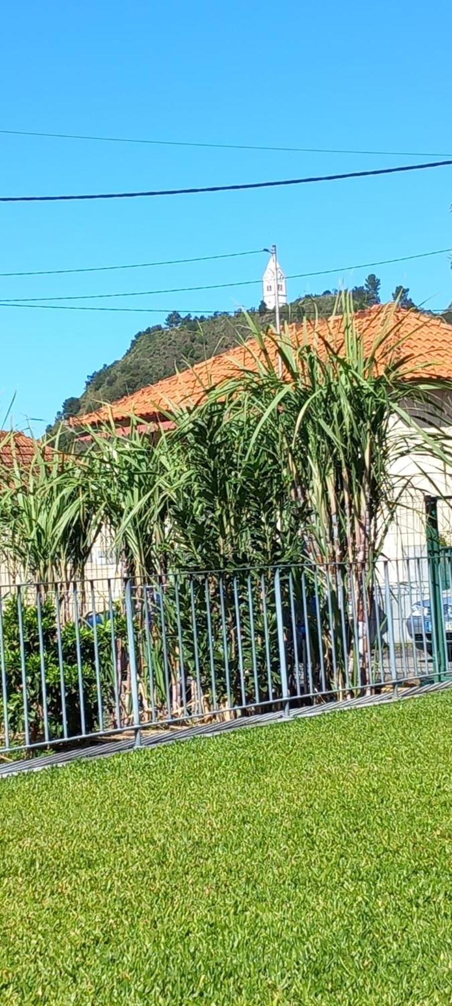 Refugio Do Limoeiro Villa เซาวิเซนเจ ภายนอก รูปภาพ